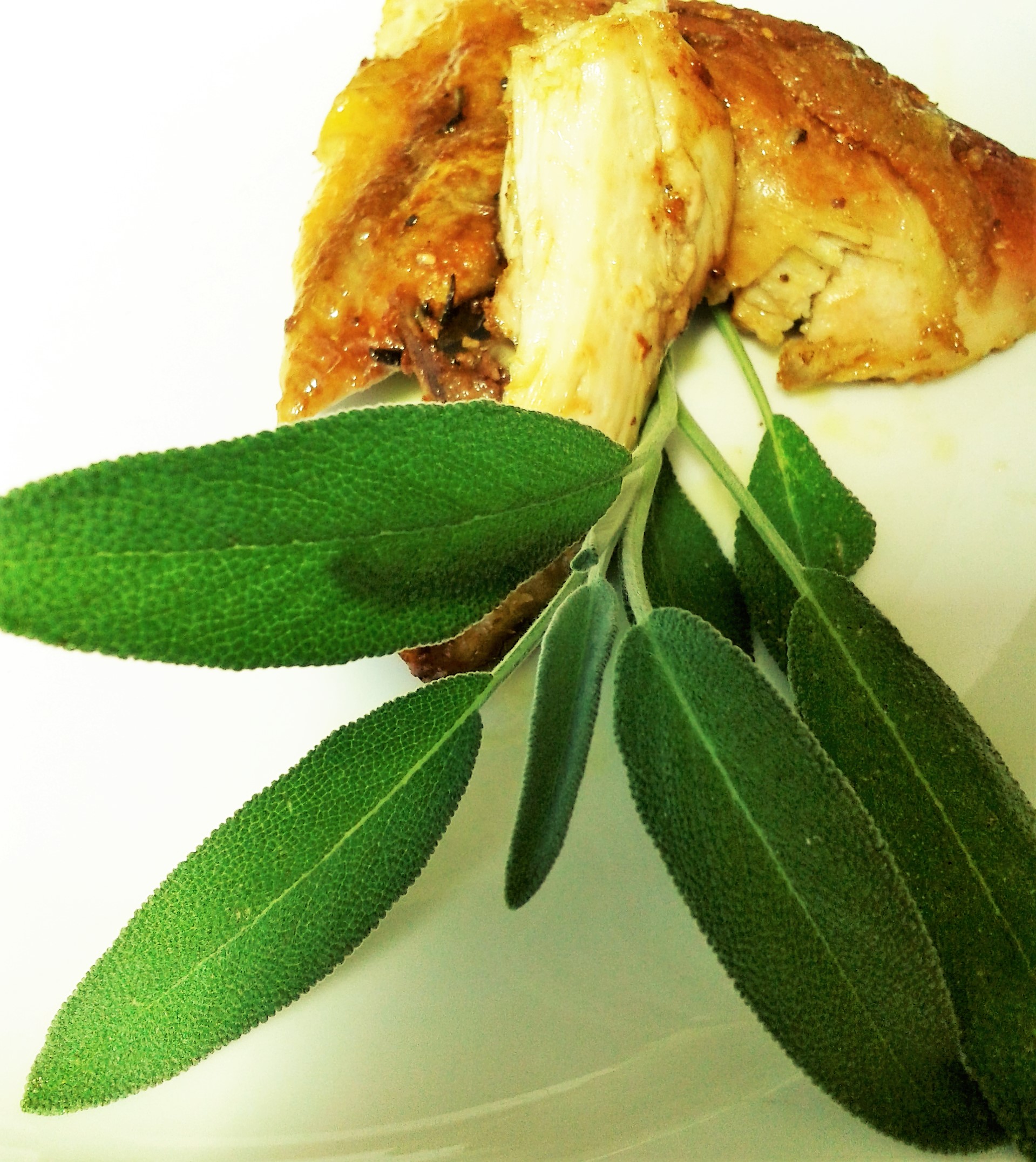 spezzatino di pollo all'aroma di salvia