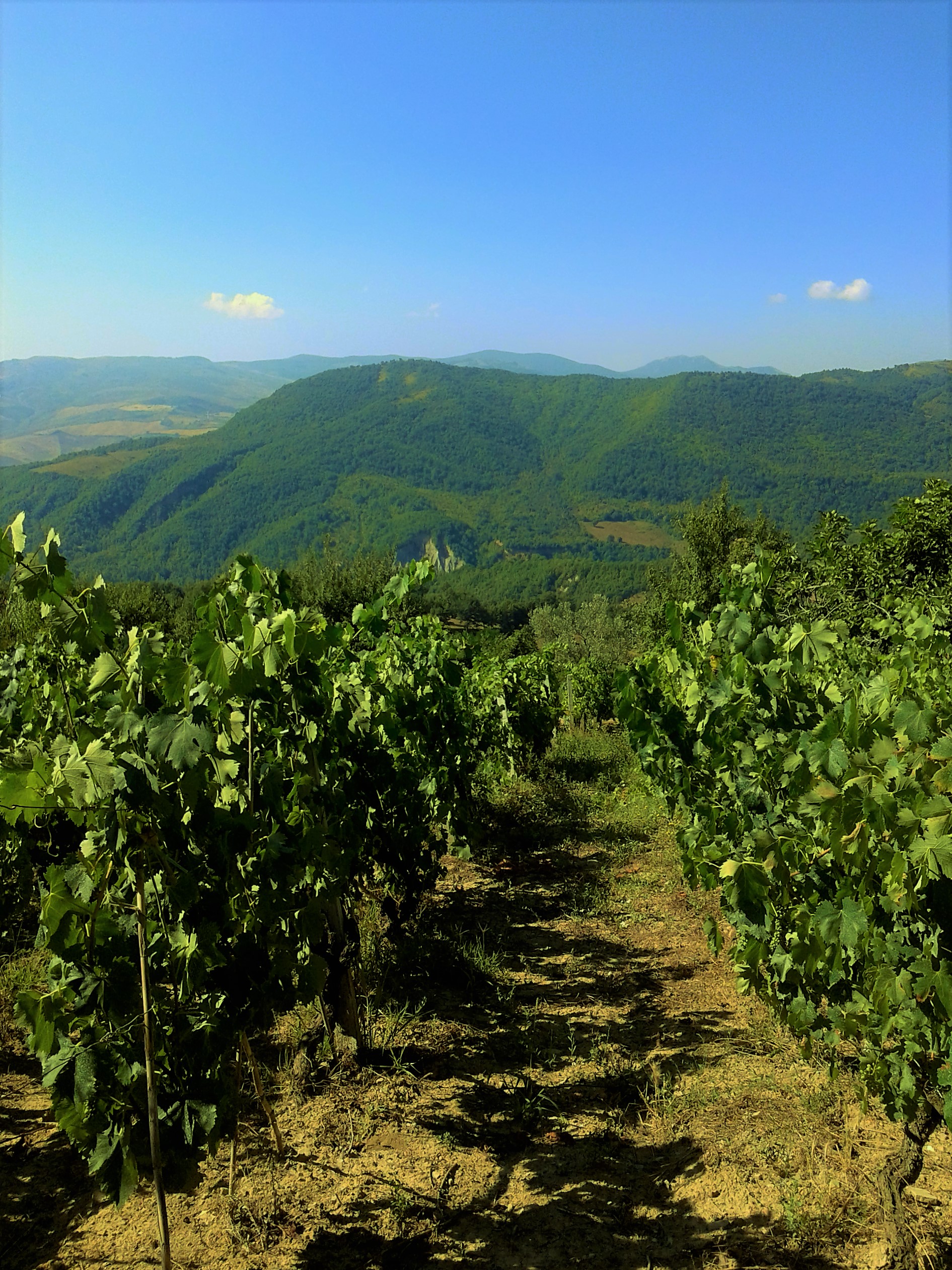Contrada Santa Caterina(Basilicata)
