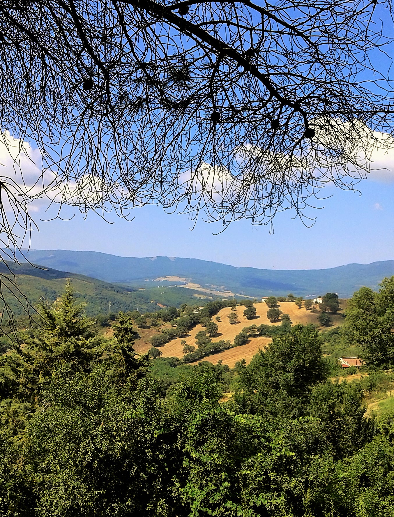 Basilicata