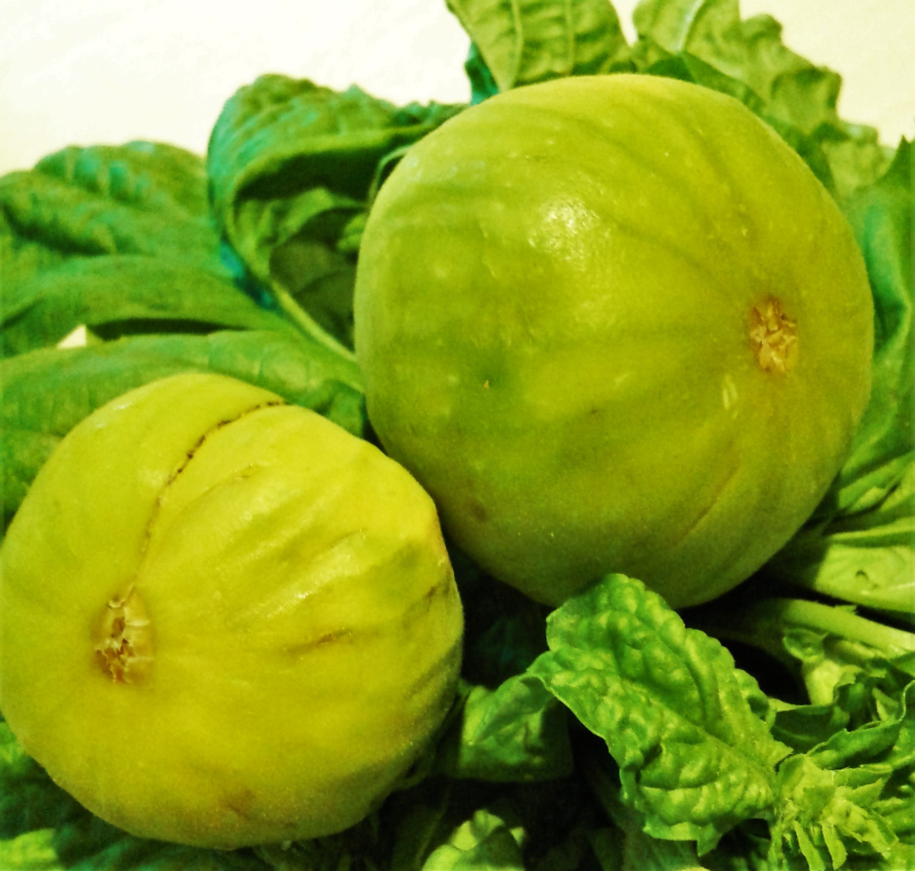 Fichi e basilico