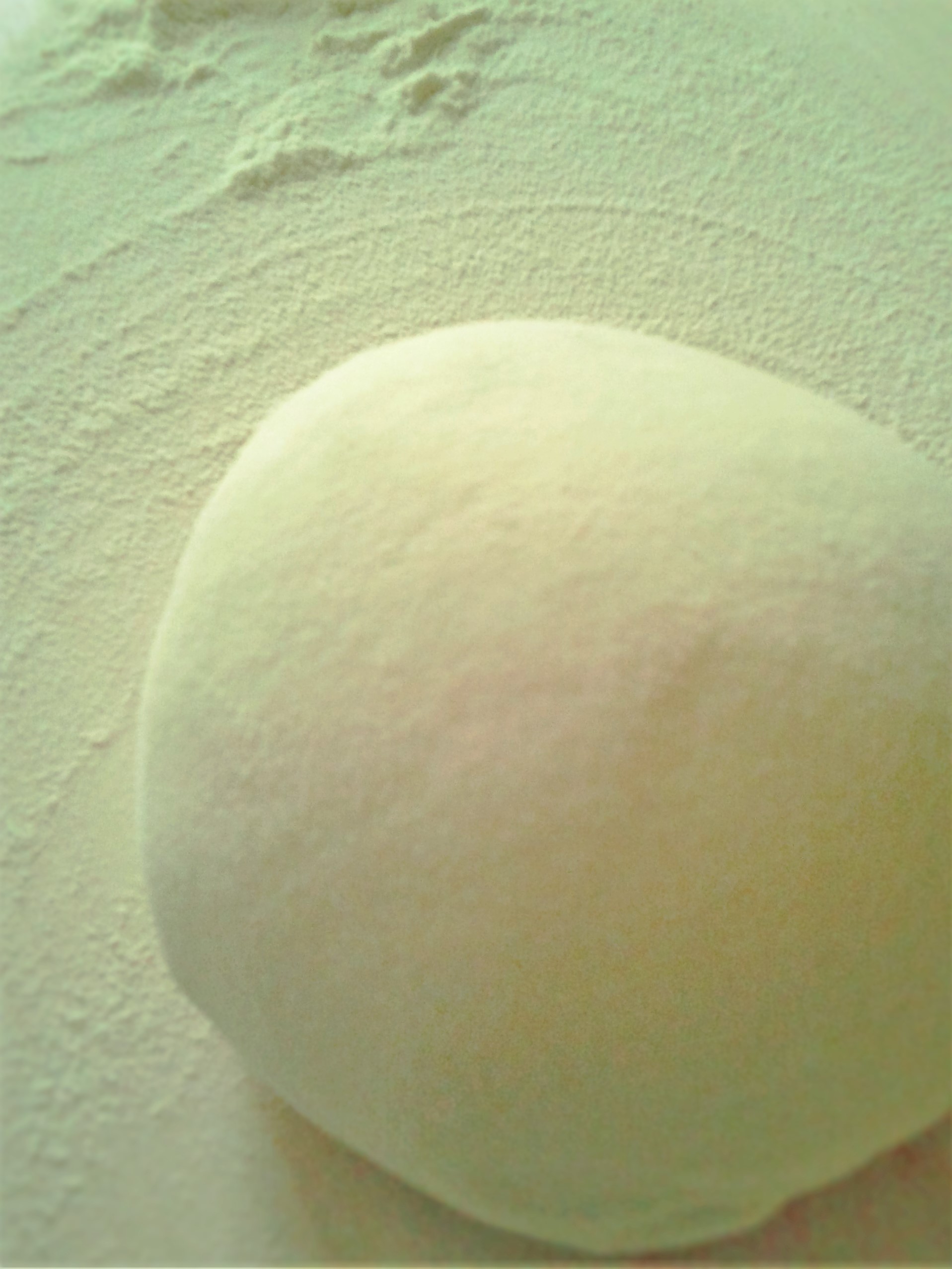 Impasto riposato